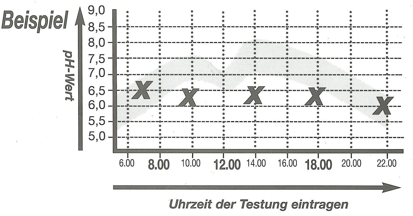 Sauerbogen Syxyl Beispiel kurz.jpg (168776 Byte)
